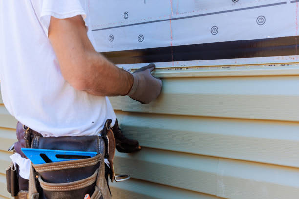 Affordable Vinyl Siding solutions in Barnardsville, NC